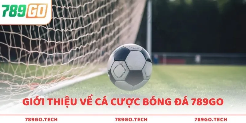 Giới thiệu về cá cược bóng đá tại nhà cái 789Go